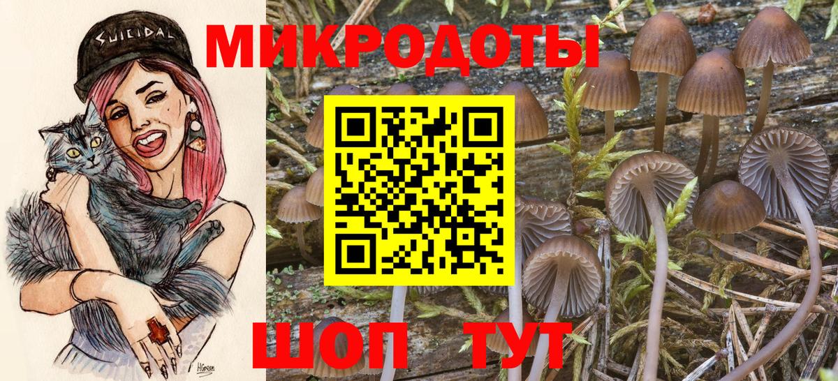 Галлюциногенные грибы Magic Shrooms  Вход с VPN  Похвистнево 